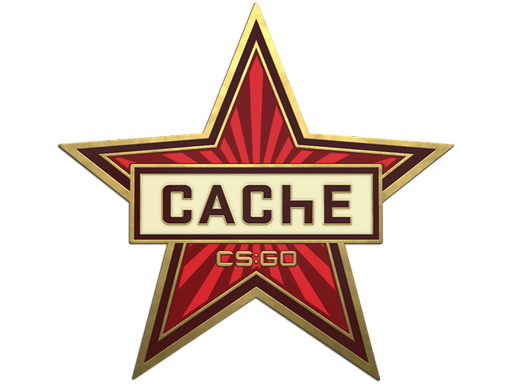 case | Genuine Cache Pin