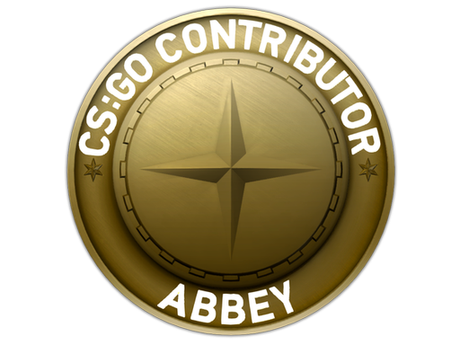 case | Abbey Map Coin