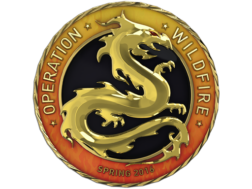 case | Gold Operation Wildfire Coin