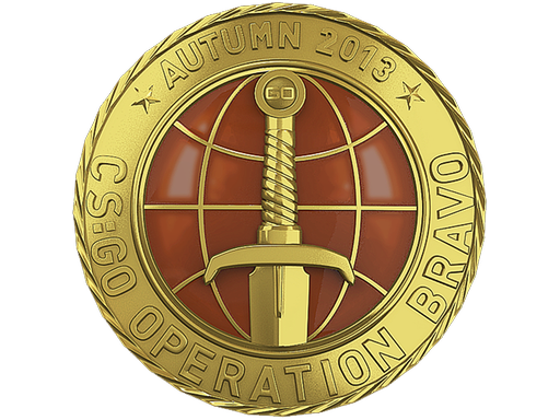 case | Gold Operation Bravo Coin