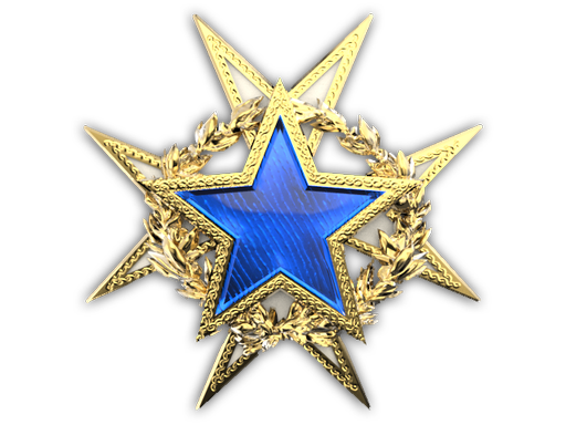 case | 2015 Service Medal