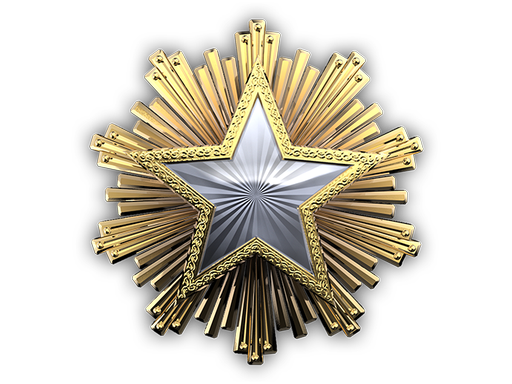 collectible | 2016 Service Medal