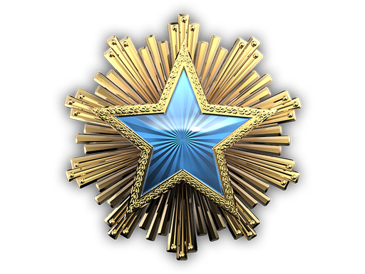 collectible | 2016 Service Medal