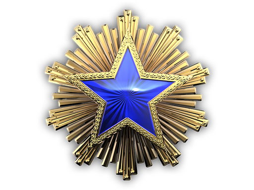 collectible | 2016 Service Medal