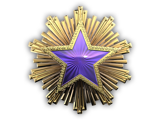 collectible | 2016 Service Medal