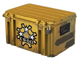 case | Revolver Case