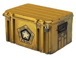 case | Gamma Case