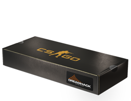 case | DreamHack 2013 Souvenir Package