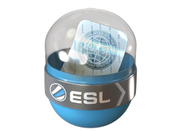 case | EMS Katowice 2014 Challengers