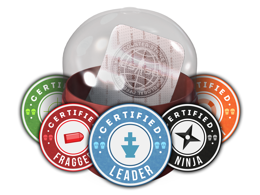 case | Team Roles Capsule