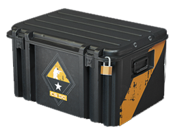 case | CS:GO Weapon Case