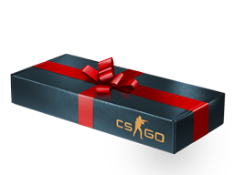 case | Gift Package