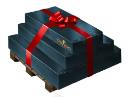 case | Pallet of Presents