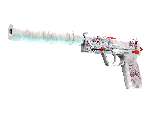 USP-S | Blossom