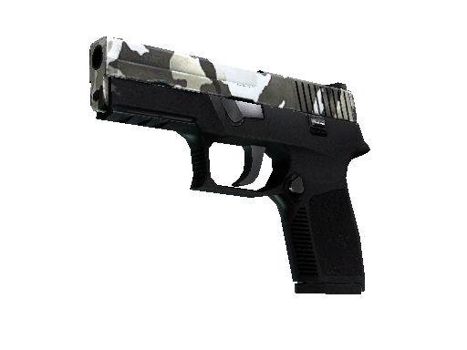 P250 | Winter Camo