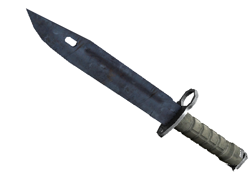 ★ Bayonet | Rust Coat