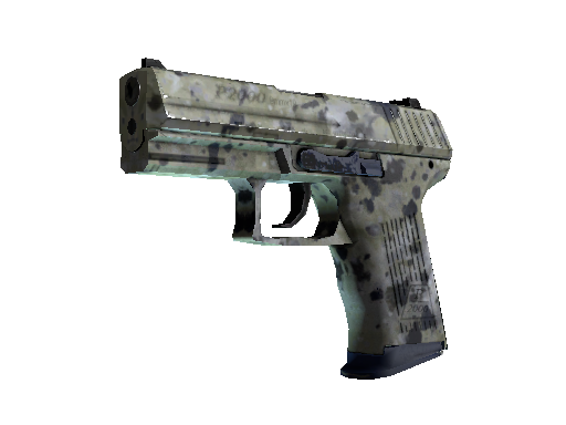 Souvenir P2000 | Granite Marbleized
